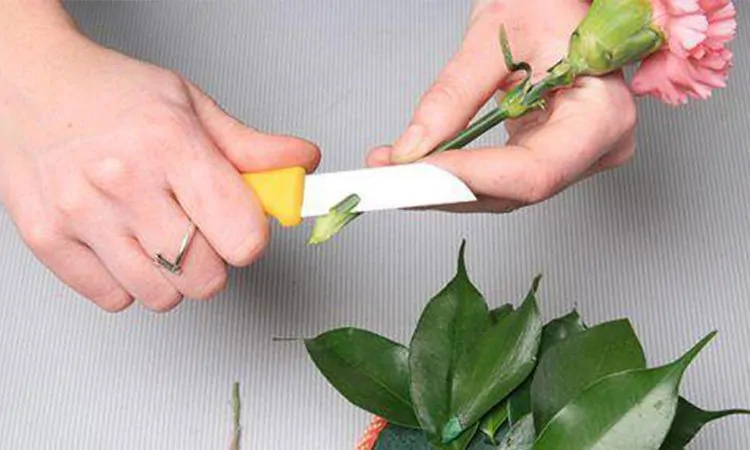 Как ухаживать за цветами в корзине или шляпной коробке с губкой