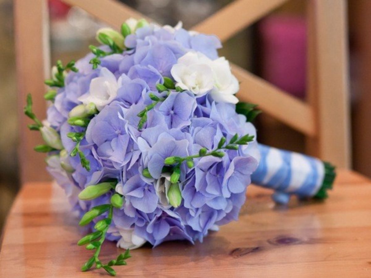 Гортензия в свадебной флористике - Блог о цветах и флористике