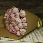 25 пионов розовых сара бернар