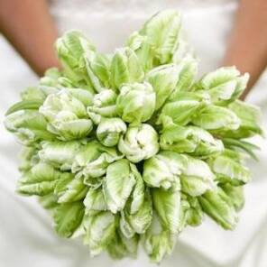 Букет невесты из зеленых тюльпанов