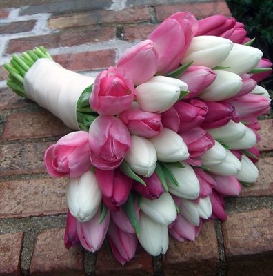 Букет невесты из разноцветных тюльпанов