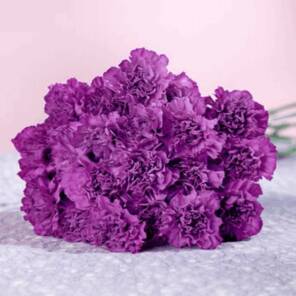 Моно-букет из фиолетовых гвоздик