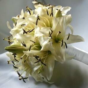 Лилия и орхидея